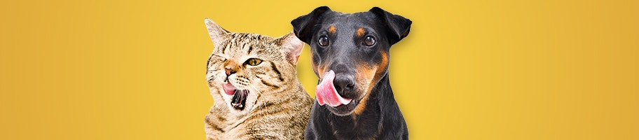 Dierendag