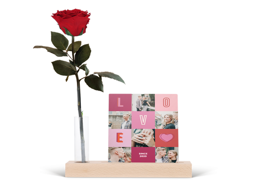 Rose of eternity met foto standaard