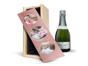 Cava Palau Gazo Brut