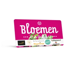 Bloemen Cadeau
