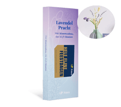 Lavendel Pracht met Fijne Feestdagen Primera Keuze Cadeaukaart