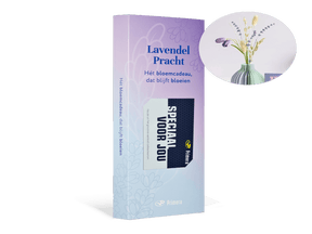Lavendel Pracht met Speciaal voor jou Primera Keuze Cadeaukaart
