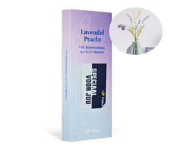 Lavendel Pracht met Speciaal voor jou Primera Keuze Cadeaukaart