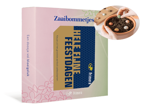 Zaaibommetjes met Fijne Feestdagen Primera Keuze Cadeaukaart