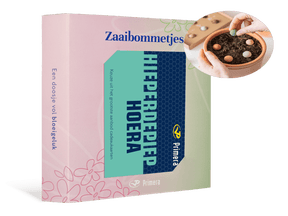 Zaaibommetjes met Hieperdepiep hoera Primera Keuze Cadeaukaart