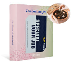 Zaaibommetjes met Speciaal voor jou Primera Keuze Cadeaukaart