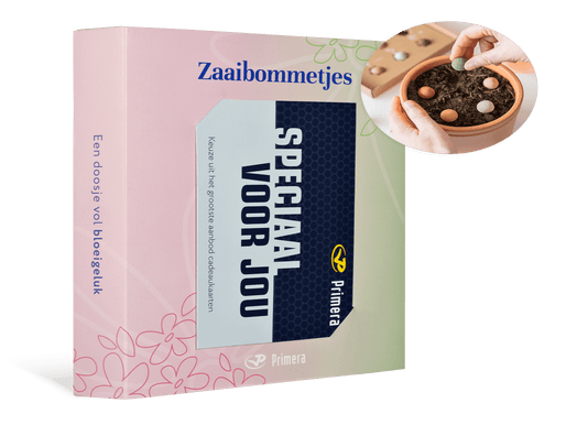 Zaaibommetjes met Speciaal voor jou Primera Keuze Cadeaukaart